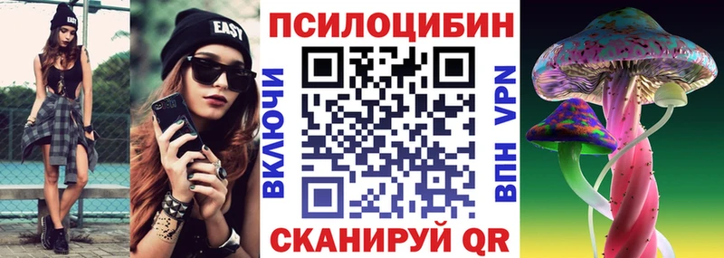 Галлюциногенные грибы Cubensis  Медынь 