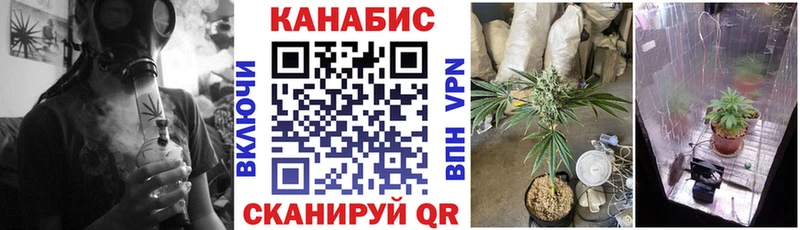 МАРИХУАНА план  Медынь 